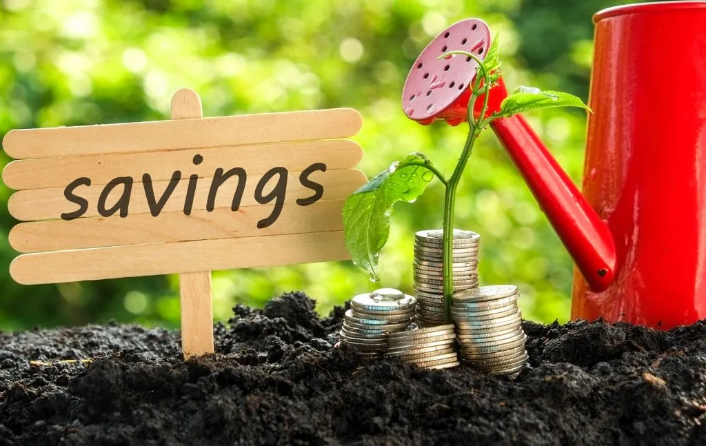 Growing savings and dividends with a Kenyan SACCO